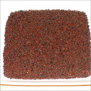 Mustard Seeds