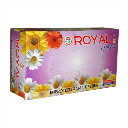 Household & Sanitary Paper