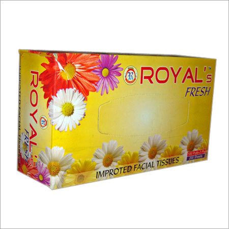 Household & Sanitary Paper