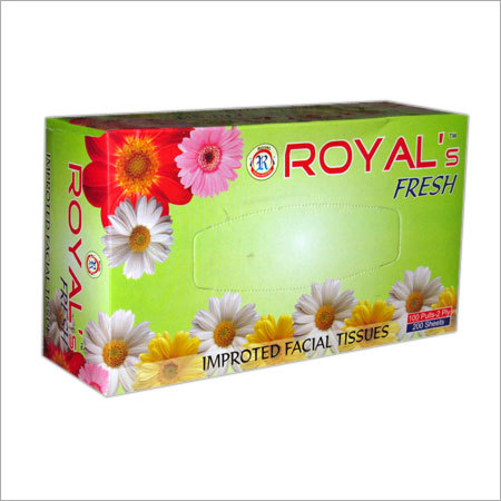 Household & Sanitary Paper