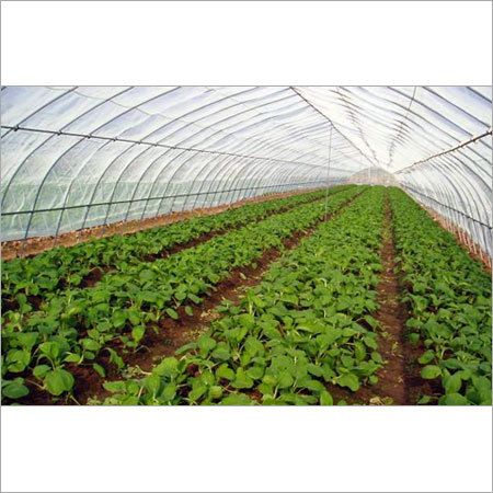 Greenhouse Anti Insect Net