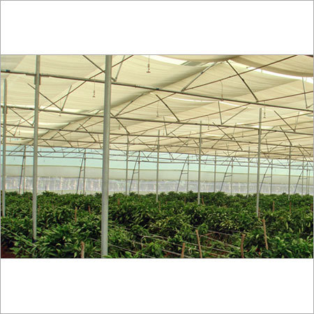 Green House Shed