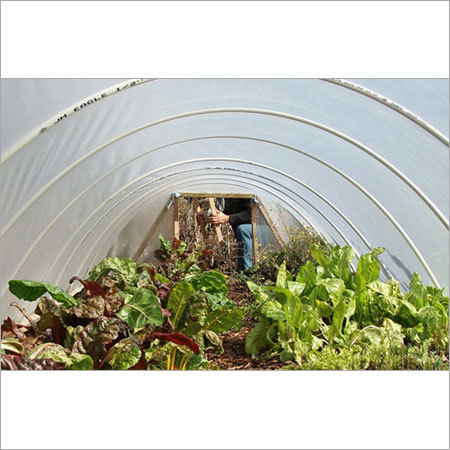 Greenhouse Low Tunnels