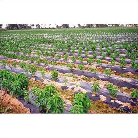 Agro Mulching Film