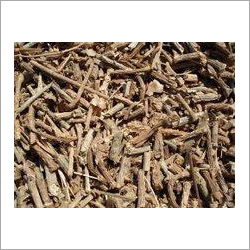 Guduchi Herbs