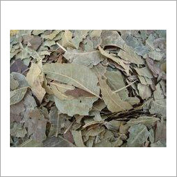Neem Leaves