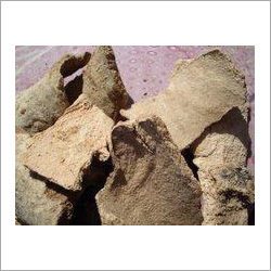 Varuna Bark Varuna Bark
