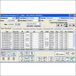 Attendance & Payroll System