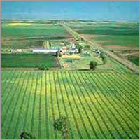 Agricultural Land Sales Services
