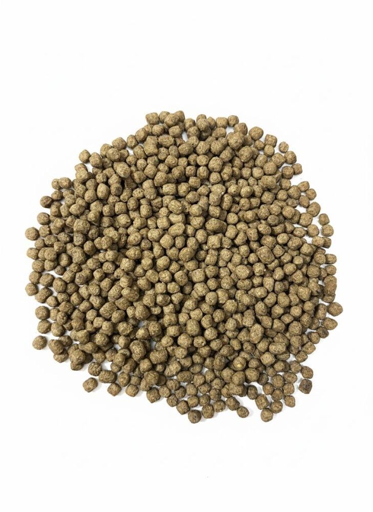 Fresh Floating Fish Feed