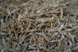 Dried Fishes