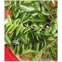 curry leaves