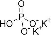 Dipotassium Phosphate - K2hpo4, 174.18 G/mol | White Solid, Water-soluble, Density 2.34 G/cm3, Melting Point 109 °c, Ph 8.5 - 9.5