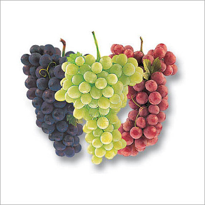 Grapes