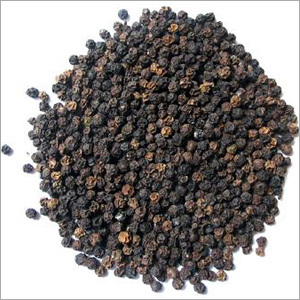 Black Pepper