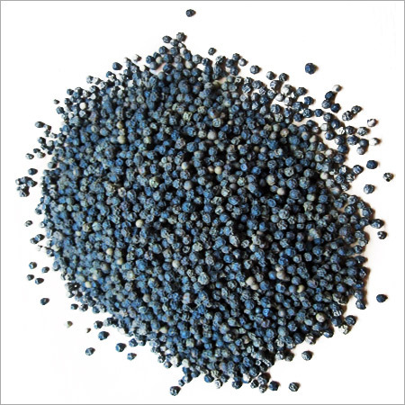 Black Pepper Seeds