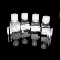 Biochemical Reagents