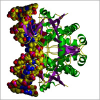 Enzymes