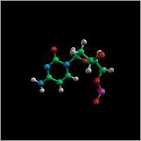 Nucleotides Services