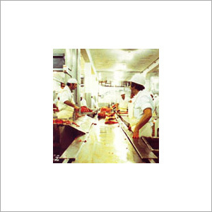 Meat Conveyor Belt