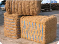 coir fiber