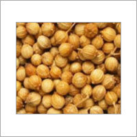 Coriander Seeds