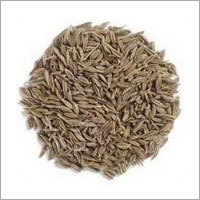 Cumin Seeds