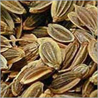 Dill Seeds