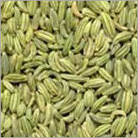 Fennel Seeds