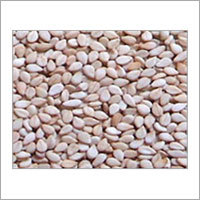 Natural White Sesame Seeds