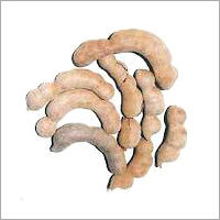 Tamarind