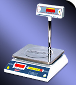 Electronic Weighing Machine