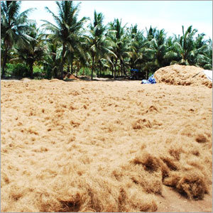 Coconut Fibre