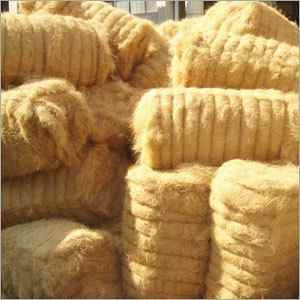 Coir Fibre
