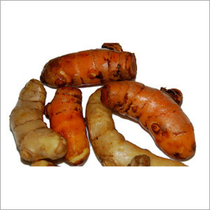 Turmeric - Orange Rhizome, Variable Size | Earthy Taste, Vibrant Color, Rich Aroma, Culinary Uses, Antioxidant