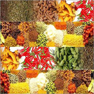 Indian Spices
