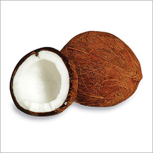Coconut