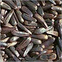 Niger Seed