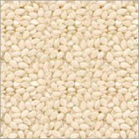 Natural White Sesame Seed