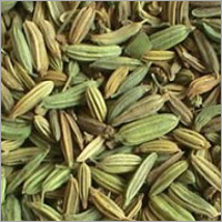Fennel Seed