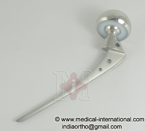 Bipolar Hip Prosthesis Fenestrated