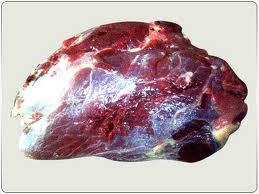 Buffalo Top Side Meat - Buffalo Meat, Red, Bulk | Lean Protein, Tender Texture, Low Calorie, Rich Minerals, Essential Vitamins