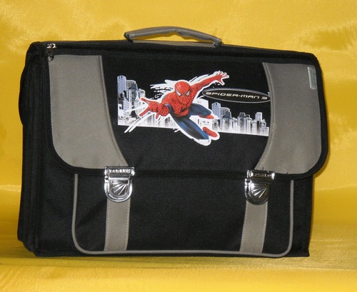 Stylish School Bag