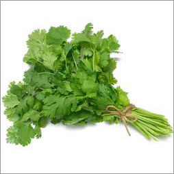 Coriander