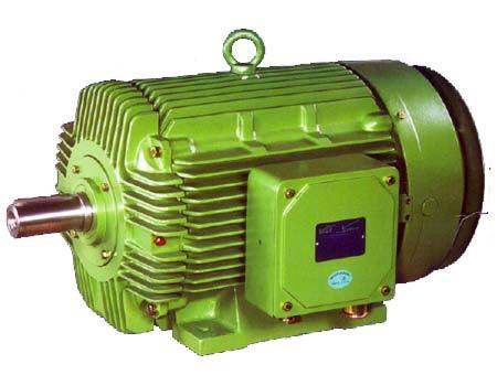Industrial Electric Motors 