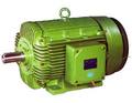 Industrial Electric Motors 