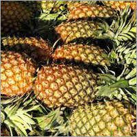 Fresh Pineapple Pulp