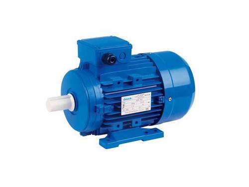 Industrial Electric Motor