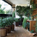 Balcony Garden Idea