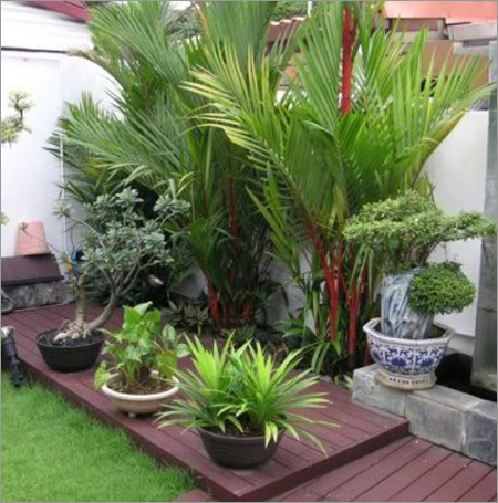 Terrace Garden Design